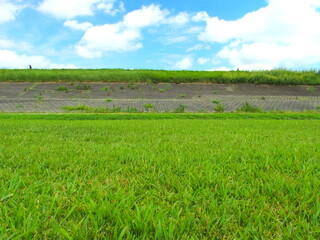 夏草茂る江戸川河川敷と護岸のある堤防風景