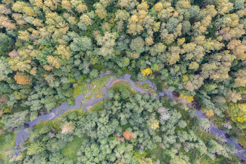 Aerial top down view of winding river flowing through green forest