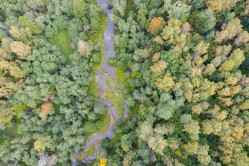 Aerial top down view of winding river flowing through green forest