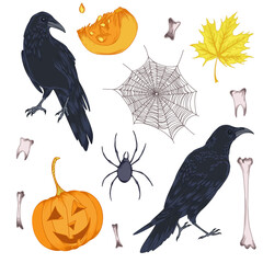 Vector vintage halloween collection elements