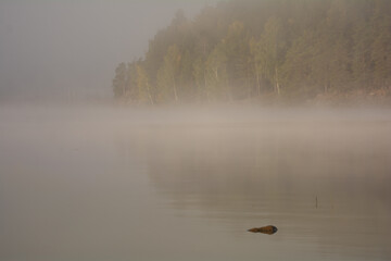 Obraz na płótnie Canvas Lake in fog with trees in the background