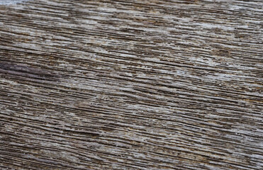 Texture of macro wood background vintage style