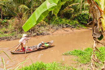 Mekong, delta, vietnam