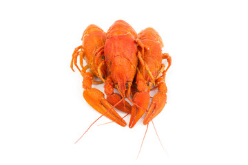 Boiled Fresh Crayfish,Crawfish,  isolated on white background