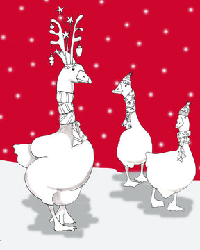 Ready for Christmas? Whimsical handdrawn geese all dressed up for Christmas, with scarfs and ornaments