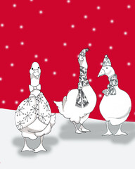 Brothers Geese are all set for Christmas! Black and white pen drawings of three geese, with scarfs out in the cold red snow sky