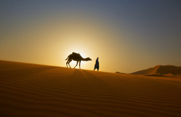 Fototapeta na wymiar Sunset, sunrise, silhouette of the man who holds camels in the desert