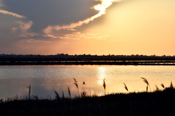 Naklejka premium Tramonto sulle saline