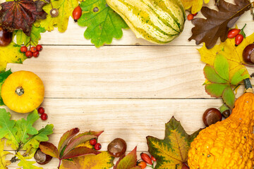 Maple leaf autumn. Natural harvest with orange pumpkin, fall dried leaves, red berries and acorns, chestnuts on wooden background in shape frame. Beauty Holiday autumn festival concept. Fall scene.