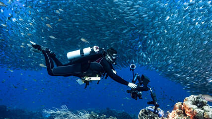 Diver / underwater photographer and Bait ball / school of fish in turquoise water of coral reef in Caribbean Sea / Curacao