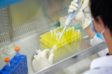 Asia scientist wears a glove and used a micropipette and transfer sample into a tube in the...