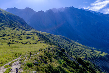 Fototapeta premium landscape with mountains