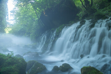 霧中の元滝伏流水