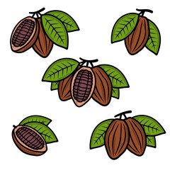 Cacao beans set. Collection cacao beans icons. Vector 