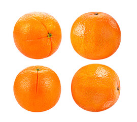 orange fruit on white background
