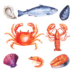 Watercolor set of sea food with mackerel, squid, prawns and mussels drawn by hand isolatedon a white background.