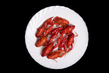 Red crayfish, arranged in a white plate, on a black background	