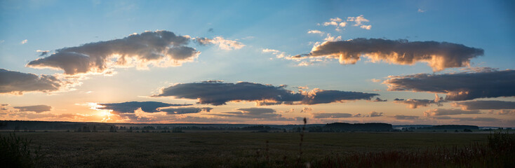 Panorama with sunset, silhouette of trees in Russian village. Tree silhouetted against a setting sun. Dark plants on open field, dramatic sky, clouds, sunrise. Sunset landscape with a wild grass