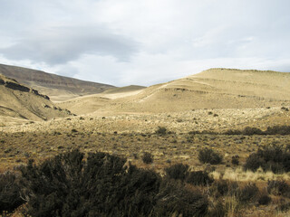 landscape in the desert