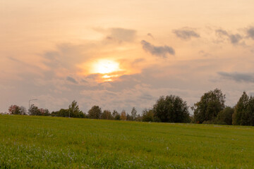 Obraz premium Californian sun light in Finland