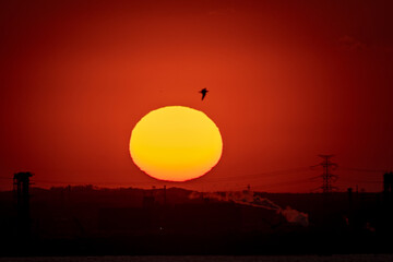 sunset over the sea