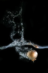 Onion immersed in water, on black background	