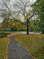 Fototapeta na wymiar Outono em Basildon