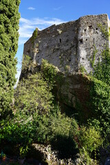 ruins of the old castle