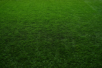 green Artificial grass texture. Indoor and outdoor decoration for wall and walkway.