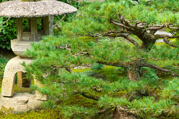 Kanazawa Kenrokuen garden in Japan