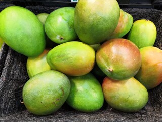 Harvest of beautiful mangoes growing, tropical fruit	