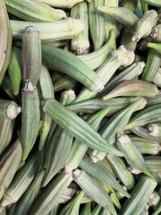 Fototapeta premium Harvest of fresh okra, tropical vegetable 