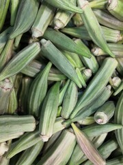 Harvest of fresh okra, tropical vegetable	