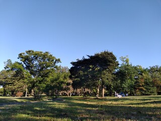 公園