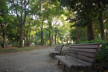 Fototapeta premium 清澄公園（東京都江東区清澄）