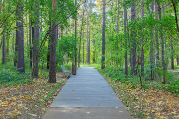 A path for pedestrians to walk in a modern green city park in the autumn daytime