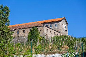 View of the main facade of a farmhouse with vineyards around on Lamego downtown
