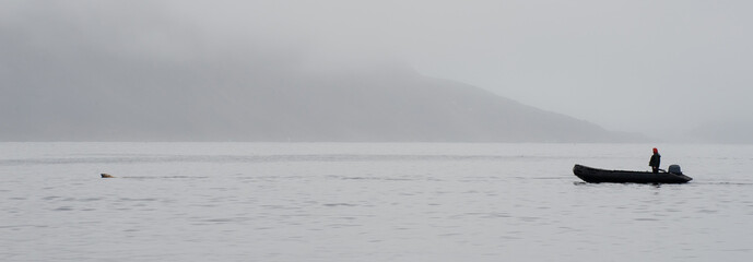 A man standing in an inflatable boat follows a Polar Bra(ursula maritimus) its head just visible as it swims ahead of the boat. Atmospheric mist over hills and a calm sea.Letter box image
