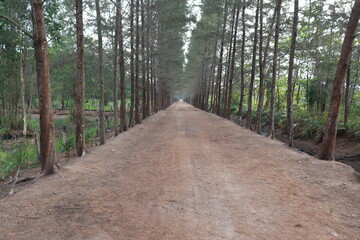 a botanical garden located in the Banghka Islands, Indonesia