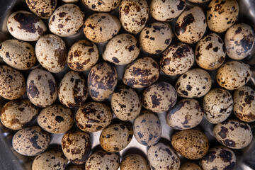 Quail eggs arranged in a white plate, big plan	