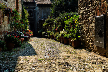 Foto scattata nei vicoli di Tagliolo Monferrato.