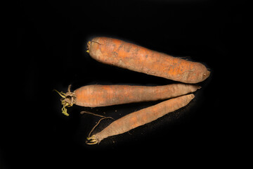 Trio of still earthy carrots, on a black background	