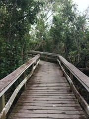 Obraz premium wooden bridge in the woods
