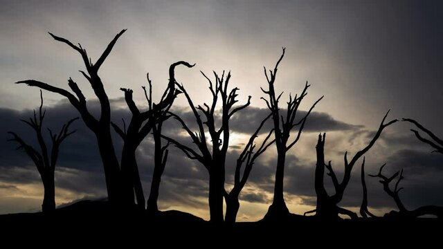 Namib Desert: Time Lapse at Sunrise with Fast Clouds and Dark Silhouette of Iconic Dead Trees, Namibia, Africa