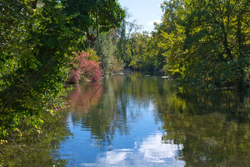 Rheinauen bei Daubensand im Elsass im Herbst