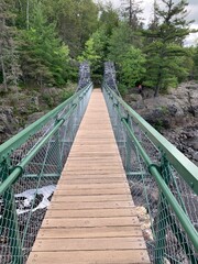 Fototapeta na wymiar suspension bridge in the forest