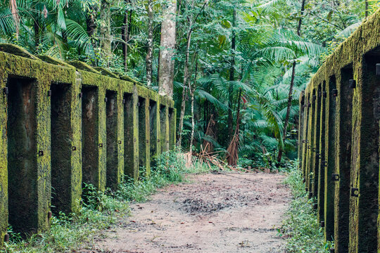 Sentier du bagne des Annamites