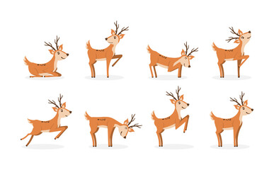 Set of deer.