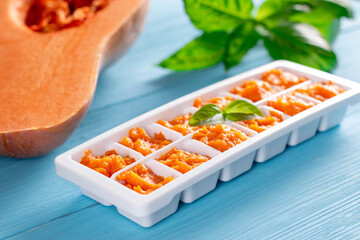 Simple Way to Store Baby Solid Food via Ice Cube Tray