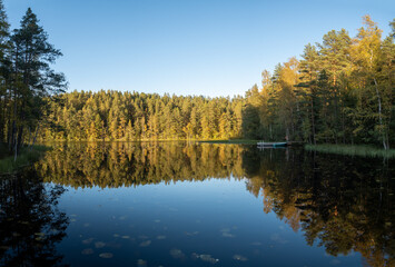 reflection of trees and pier in the lake